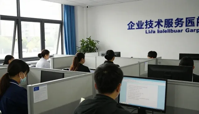 企业级应用开发中方案定制的常见问题及处理方法